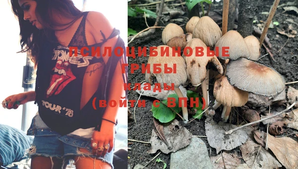 героин Покачи