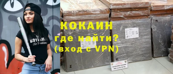 спайс Губаха