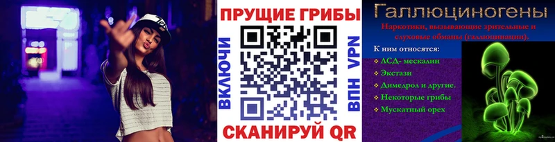 Галлюциногенные грибы Psilocybine cubensis Рыльск